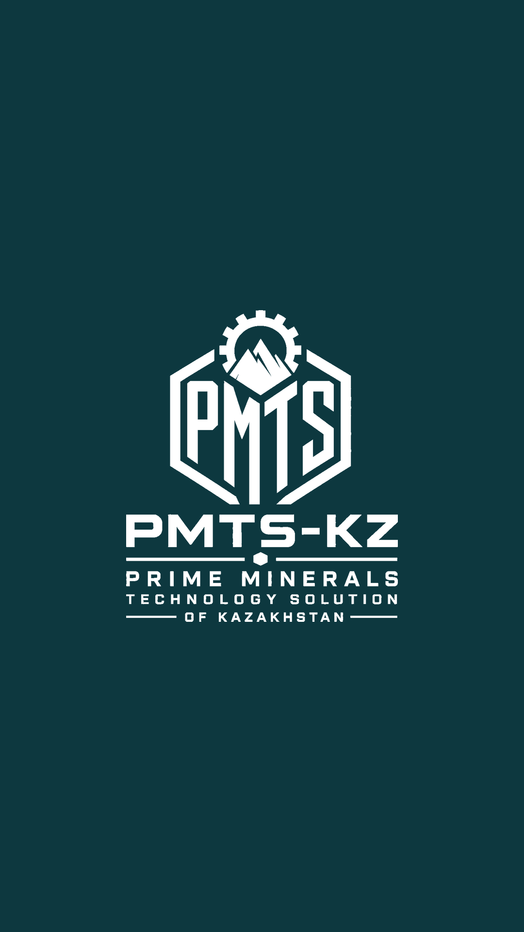 Инженерный надзор и производственные мощности PMTS